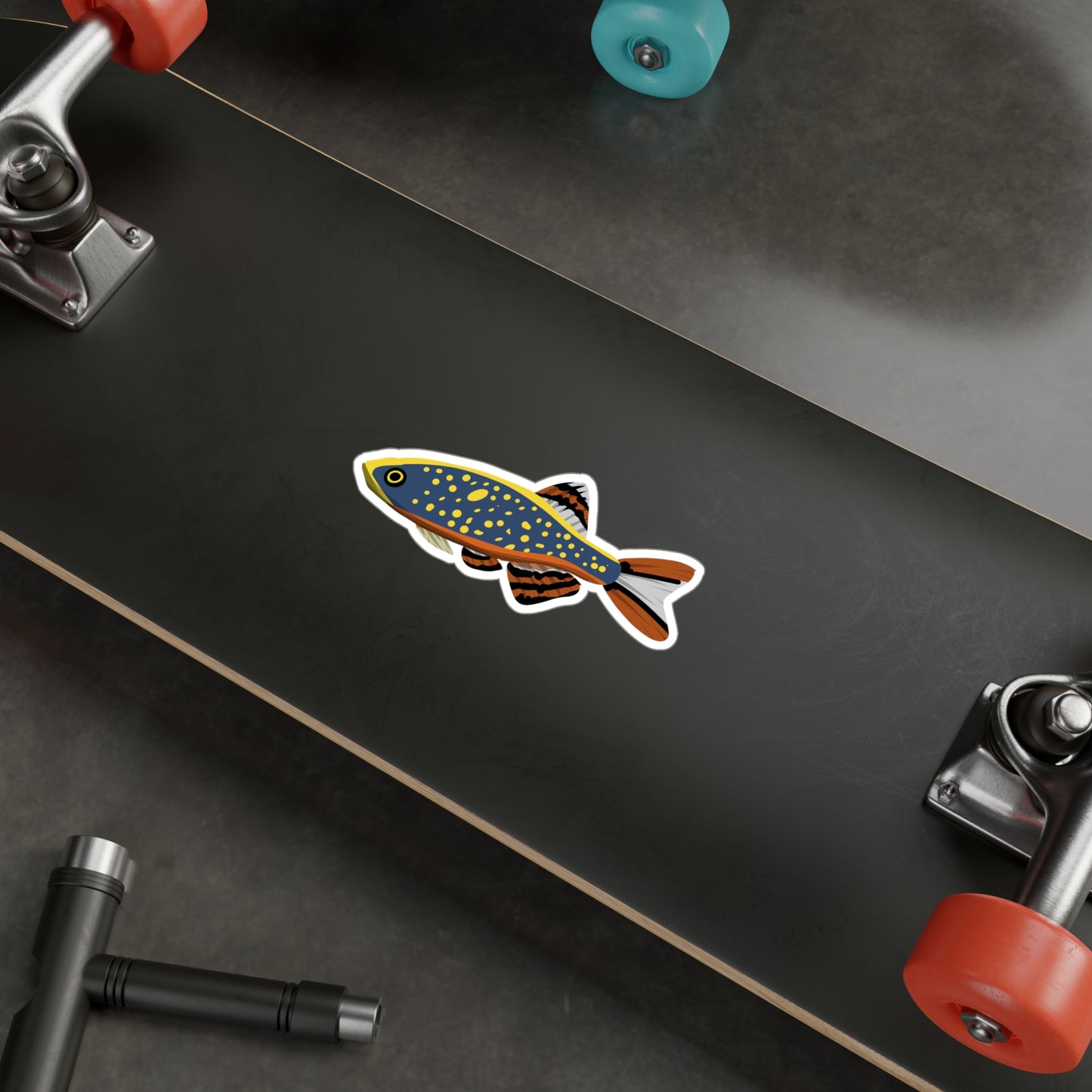 Celestial Pearl Danio sticker placed on black skateboard deck featuring blue and orange fish design
