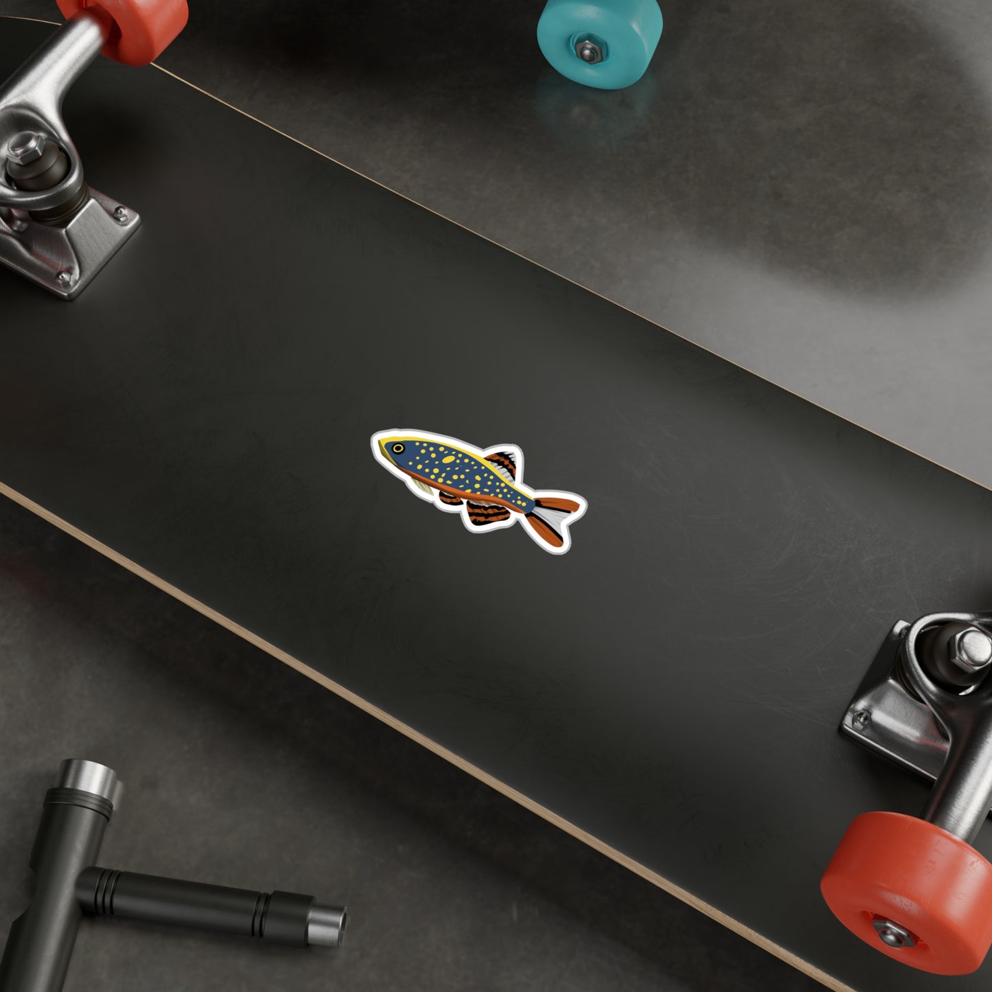 Celestial Pearl Danio sticker on black skateboard deck with red and teal wheels