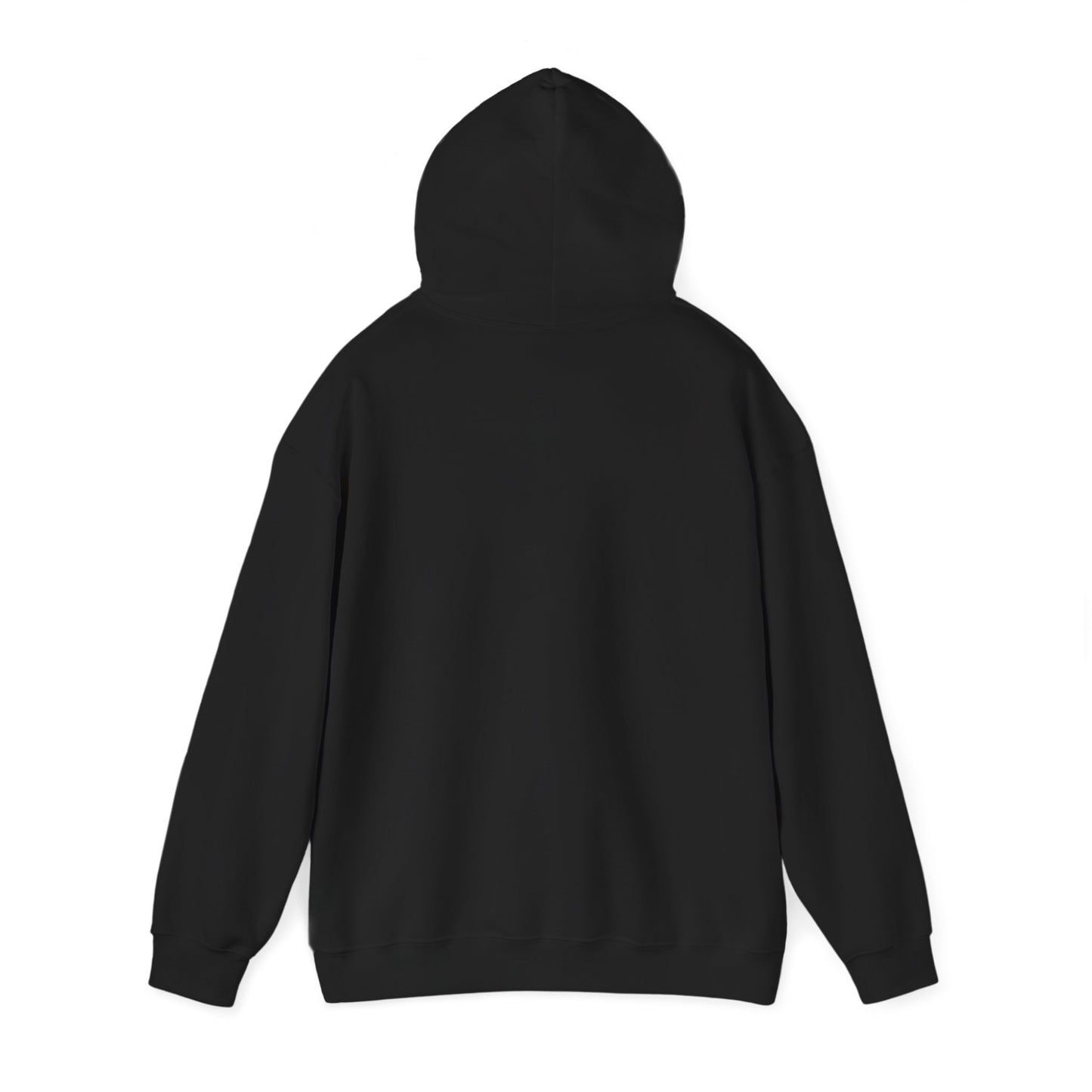 Black hoodie shown from the back, perfect as a funny fishkeeping hoodie