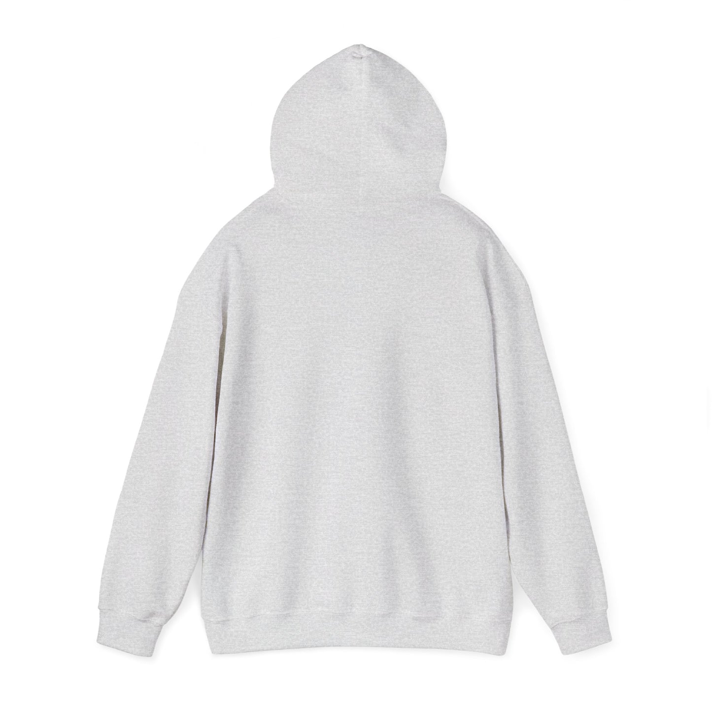 Plain gray hoodie back view, perfect as a funny fishkeeping hoodie base