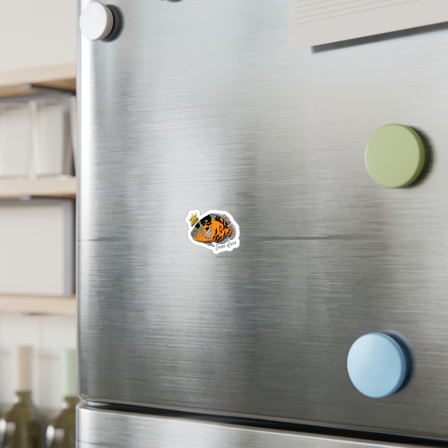 Oscar Cichlid vinyl sticker on stainless steel refrigerator door with colorful magnets