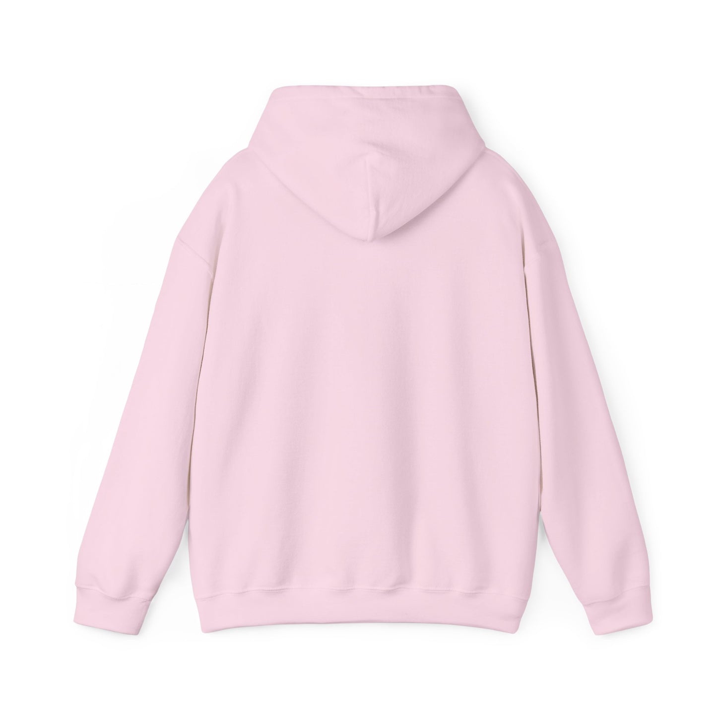 Back of pink “Water Changes Are My Cardio” hoodie with hood down
