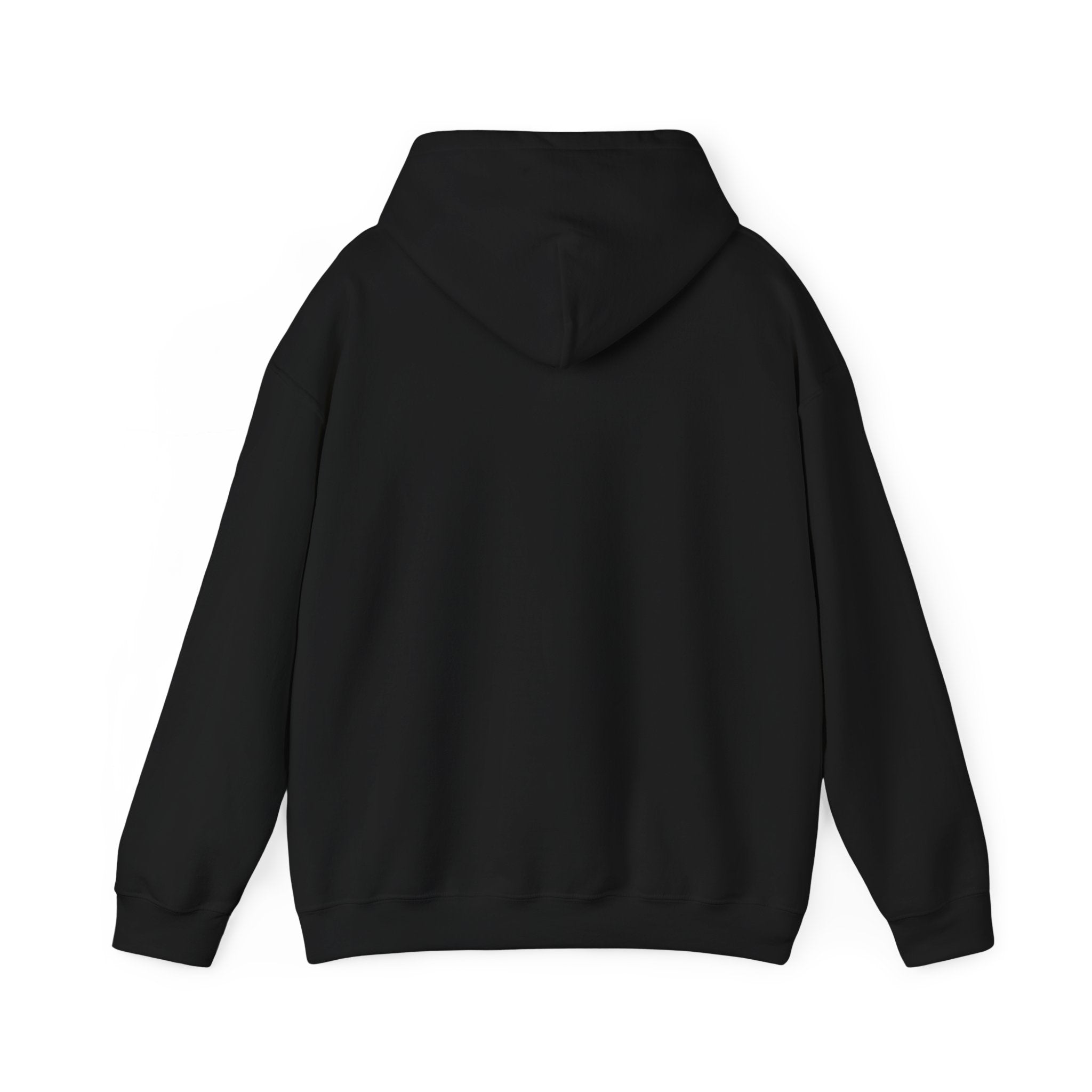 Black hoodie shown from the back featuring long sleeves and a hood Celestial Pearl Danio hoodie