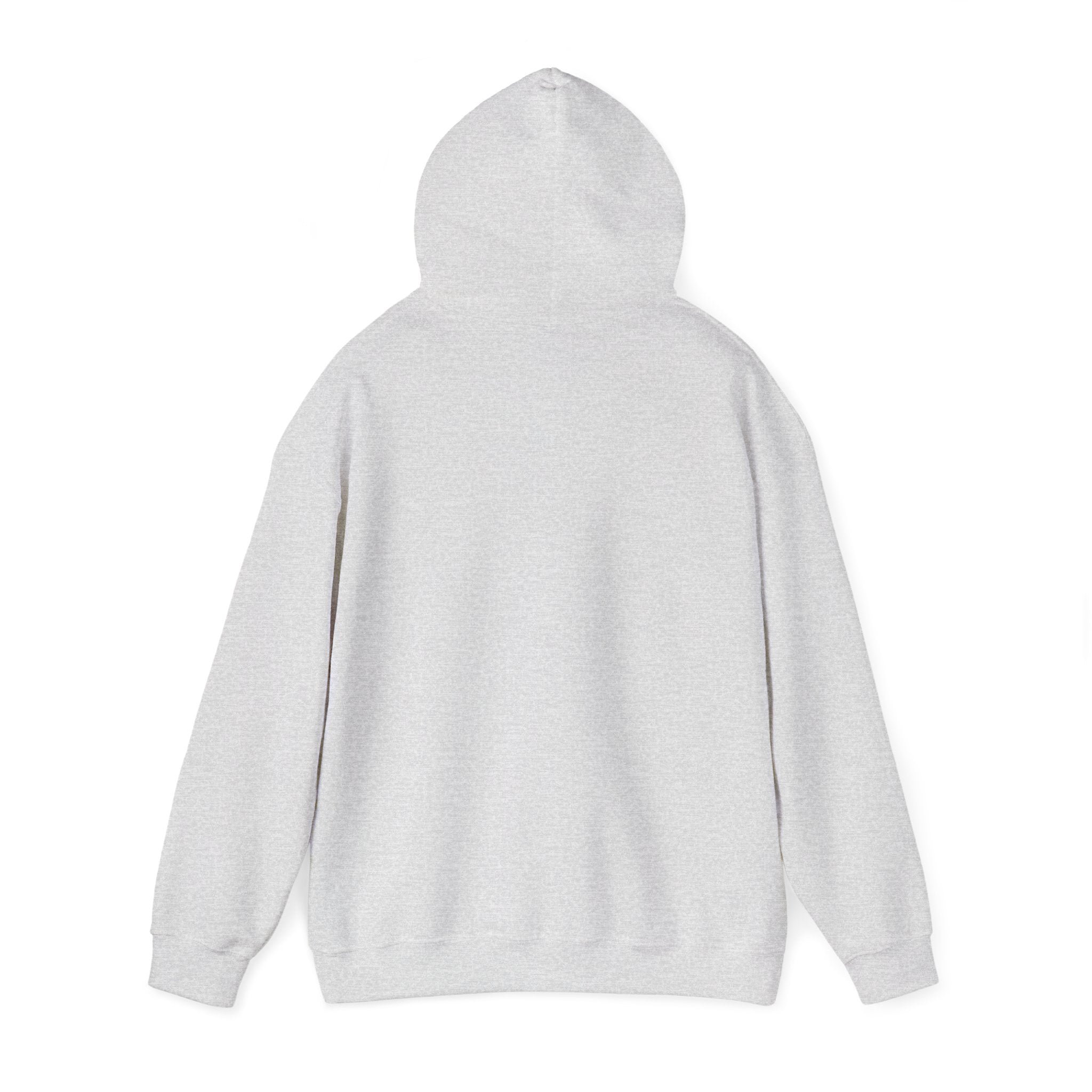 Plain gray hoodie back view, perfect as a funny fishkeeping hoodie base