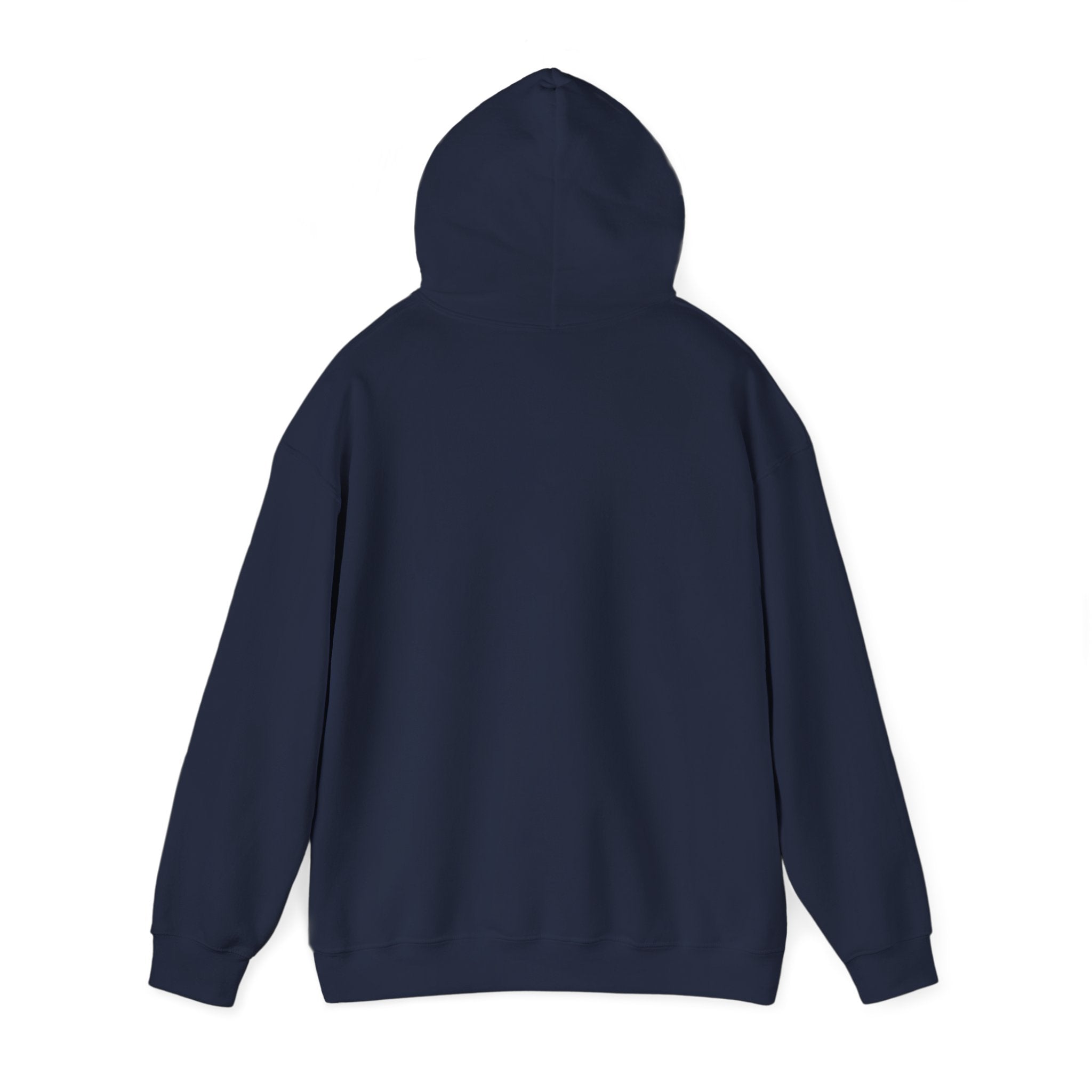 Back of navy hoodie with hood up, no visible graphic