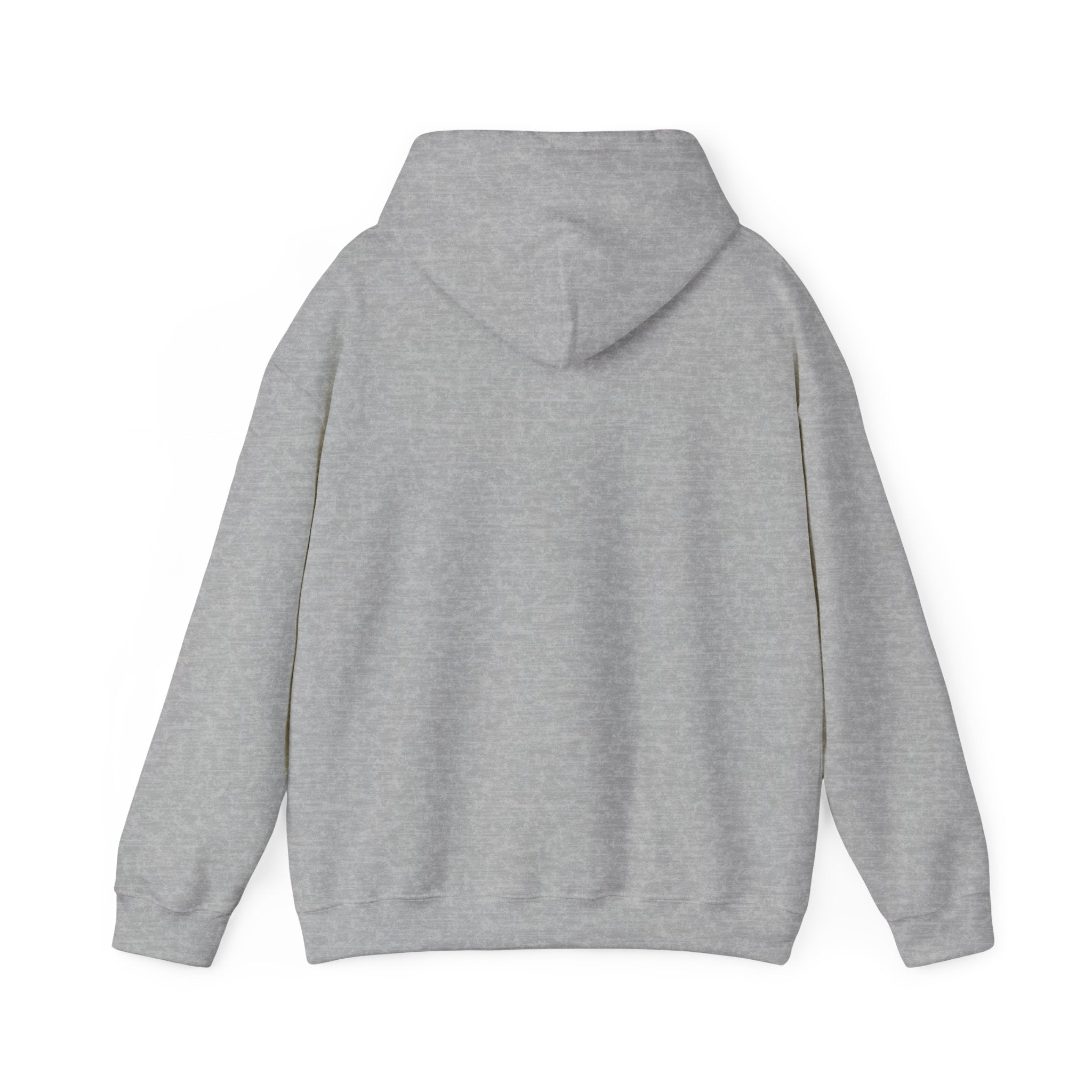 Back of grey Galaxy Rasbora hoodie with hood down on white background