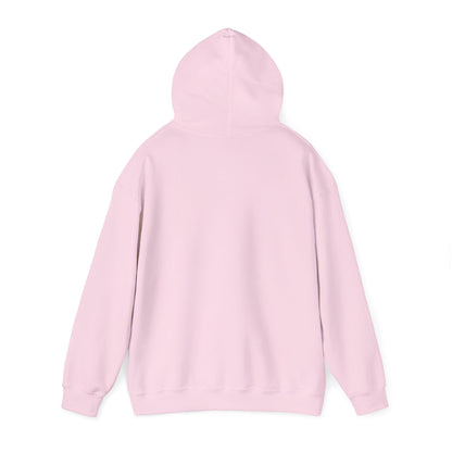 Back of pink hoodie with hood up, no visible graphic
